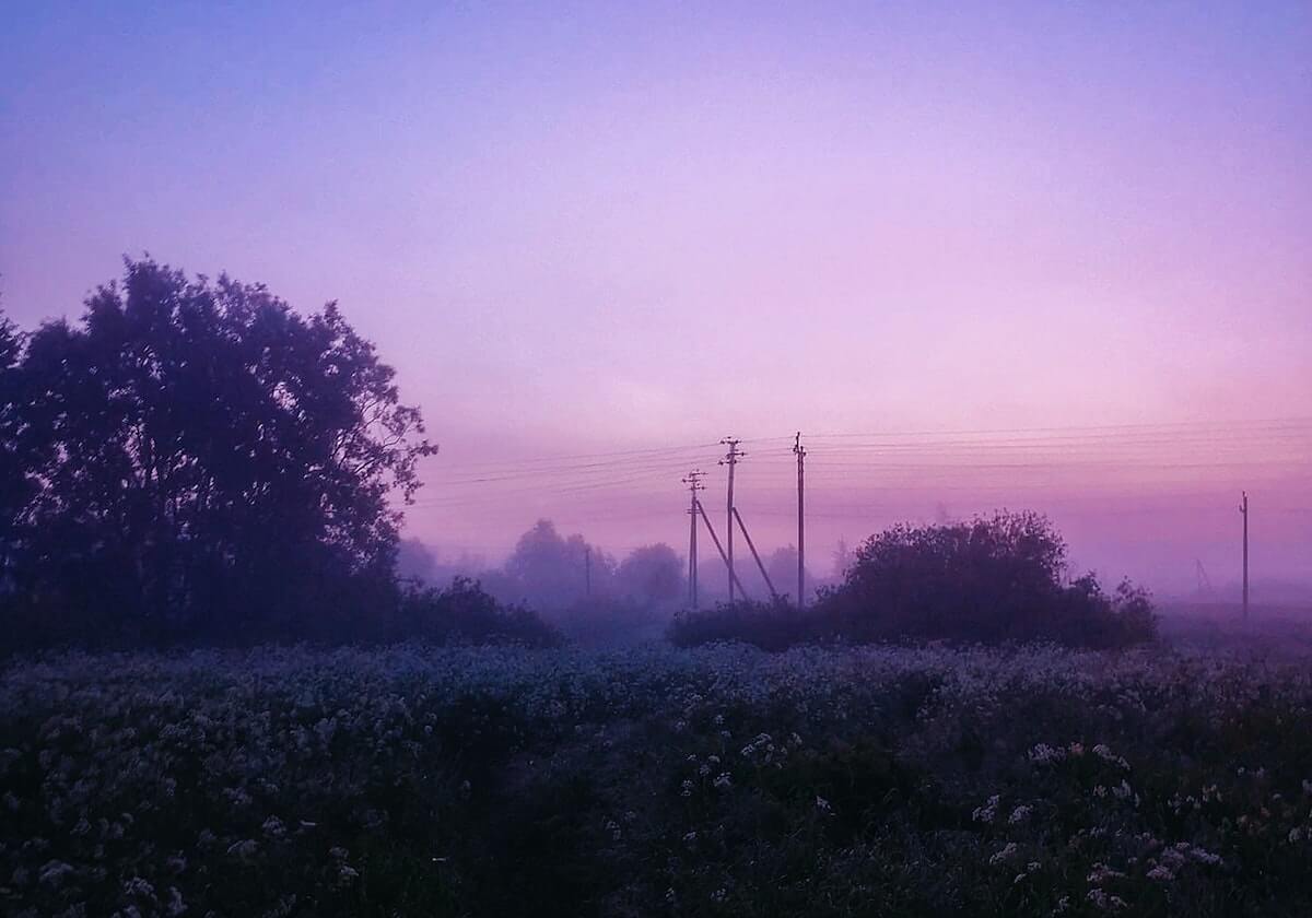 乐鱼体育：打造属于你的全能体育娱乐平台